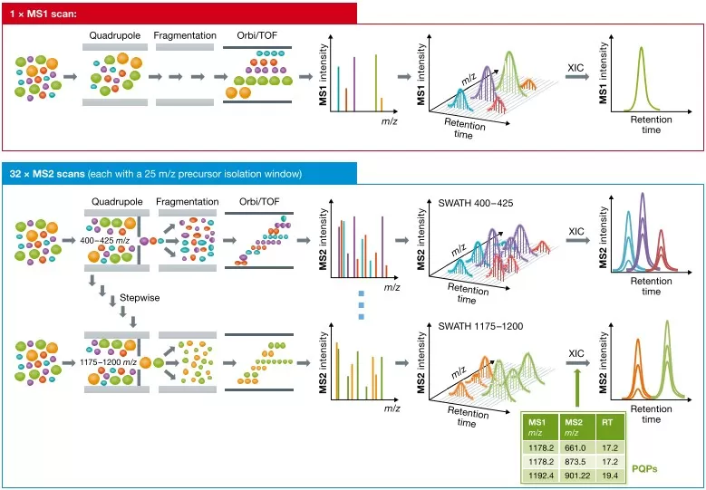 Figure 1 Mass spectrometry workflow for analyzing peptide precursor ions (MS1) and fragment ions (MS2)
